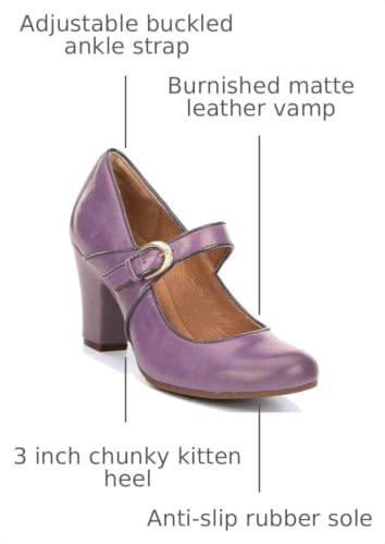 Image of SHODENSE Women Vintage Chunky High Heel Mary Jane Shoes Round Closed Toe Ankle Strap Dress Sandals 3 inch Block Heels Mary Jane Lolita Pumps Two-Toned Patchwork Buckle Office Lady Wedding Retro 4-11 M US