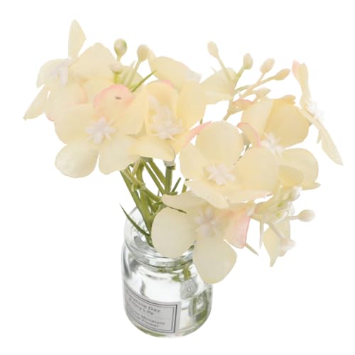 Abaodam ~j`A  h[nEXp   ANZT[ ^ Aؔ h