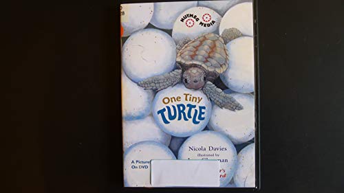 One Tiny Turtle