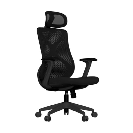 Cadeira Ergonômica Aiven Mesh com Apoio Lombar Ajustável, Reclino e Mobilidade 360° – Ideal para Startups e Home Office (Preto)