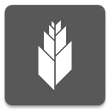 Media Church of the Harvest