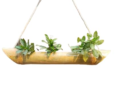 WATIKA CRAFT Wall Hanging Bamboo Pot Planter Hanhing Planter Stand Decorative Indoor Garden, Balcony Garden Accessories (Boat Single Step) (B0CKRWMV9W) Amazon Price History, Amazon Price Tracker