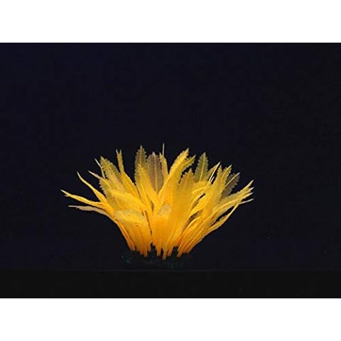 Aqua Lumo Fluorescent Orange Fern Plant Cover