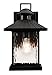 AFX LNNW0914MBBK Lennon Outdoor Wall Sconce, Black
