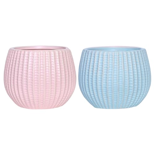 Pots en céramique durables pour sublimer chaque plante intérieure - 6