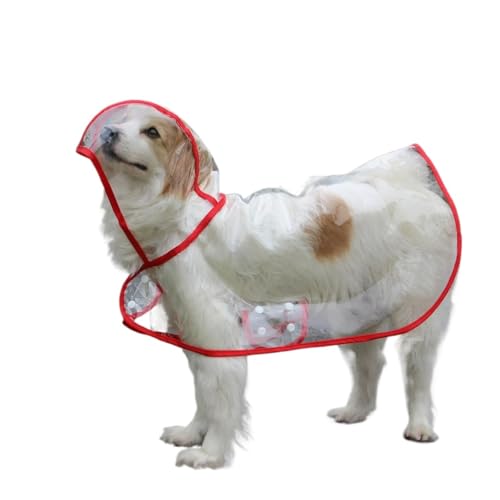 Poncho en plastique transparent contre les poils mouillés du grand chien - 2