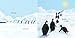 Penguin Journey: A Picture Book