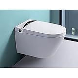 Japan WC
