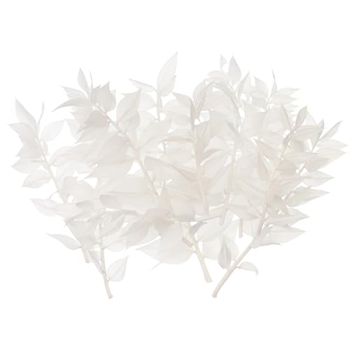 The Baked Studio - Original Dried Flower Ruscus Set For Cake & Cupcake Decorating & Others Crafts (White)