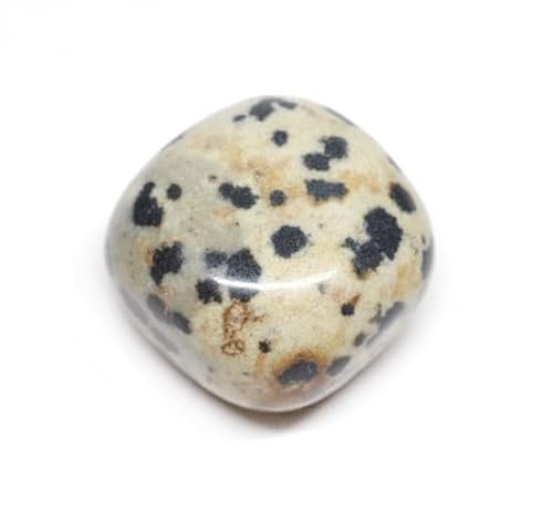 [shylph - Vt] _VAWXp[ ^u 23mm (15g) AvCg CeA RNV VR