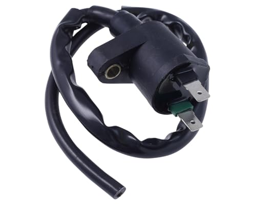 2extreme Bobine d'allumage 12 V pour Benelli Quattronovex 49, Benzhou YY50QT-27 2T, CPI Aragon