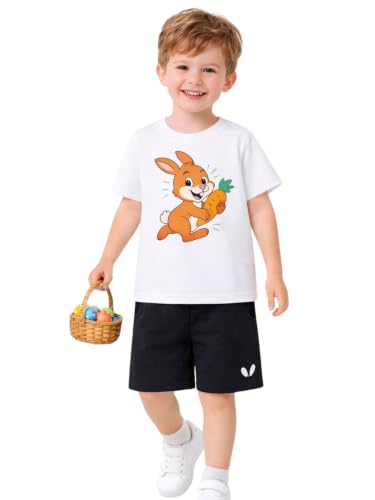 Image of HILEELANG Toddler Boy Summer Outfit Set 2 Piece Short Sleeve T Shirt and Short Soft Breathable Cotton Clothing Sets 2-7T