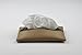 Pocket Tissue Holder with Zipper Enclosed Small Size Leather Travel Tissue Pouch for Purse (Brown)