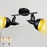 HiBay 2 Light Track Lighting Kit, Flush Mount Wall or Ceiling Spot Lights Fixtures, Adjustable Spotl