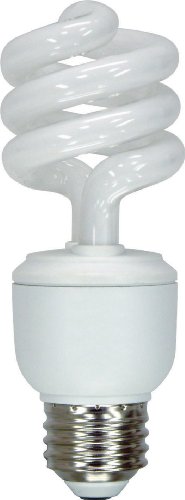 GE Lighting 74198 Energy Smart Spiral CFL 13-Watt (60-watt replacement) 825-Lumen T3 Spiral Light Bulb with Medium Base, 1-Pack