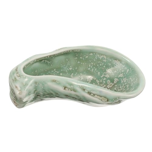 HOMOBABE Rustic Ceramic Serving Plate Set Vintage Oyster Shell Dish