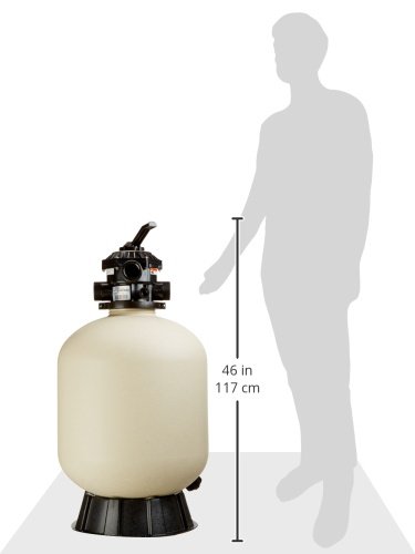 Amazon.com: Pentair 145320 Sand Dollar Top Mount Thermoplastic