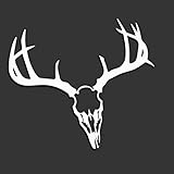 💚 UV-Beständig - Waschanlagenfest - Hauchdünn