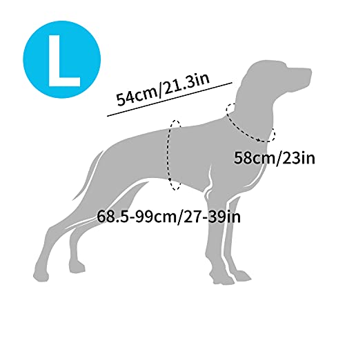All For Paws Chill Out Dog Ice Bandana+ Cooling Vest L(Neck 18~23Inch) #TOP7