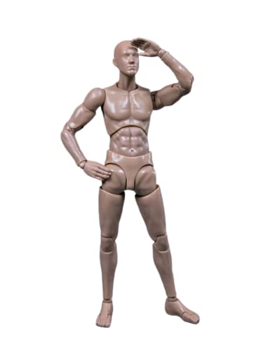 Figurine d'action masculine 1/12 AMITD 15,2 cm pour dessin et pose