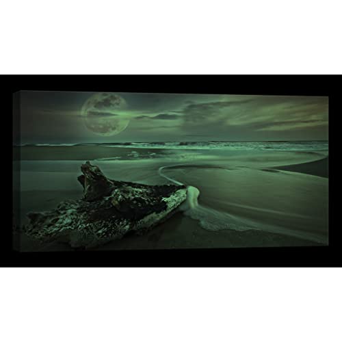 Tableau nature Toile Canvas grand format decoration murale - 2