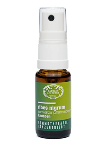 RATHAUS APOTHEKE WIEN extracto concentrado de yemas - gemmoterapia - Ribes nigrum - La grosella negra - alergia, energía, potenciador inmunológico - 15 ml