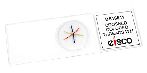image for EISCO (Pack of 25) Crossed, Colored Threads - Prepared Microscope Slid