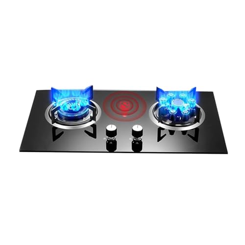 Cocina portátil de gas propano de 2 quemadores con quemador de wok de alto fuego, incluye regulador y manguera, ideal para acampar y picnics en el patio trasero
