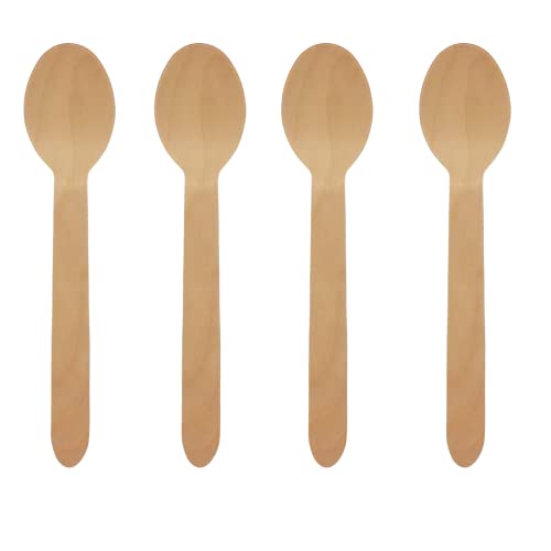 Compostable Birch Wood Cutlery 500 Pack