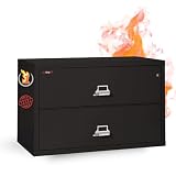 FireKing Lateral 2-Drawer Cabinet