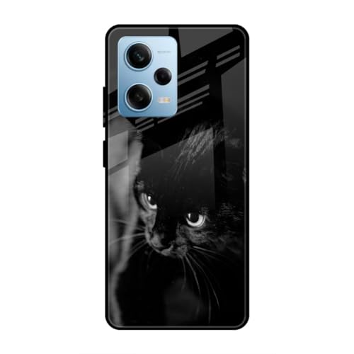 Image of SmashItUp Cat | Animals Designer Printed TPU Metal Case Mobile Back Cover for Redmi Note 12 Pro 5G