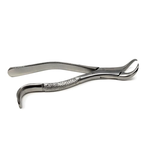 HTI Dental Extracting Forceps #16 Cow-Horn Beak Stainless Steel Dentistry Instrument Student Training for Tooth Extraction