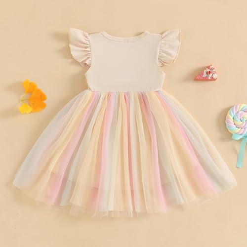 Baby Girls My 1st Birthday Outfits One Romper Two/Three Tutu Skirt Ruffle Embroidery Letter Summer Clothes4