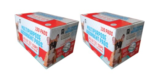 Multipurpose Absorbent Training Pads, 23" x 24" (2X 120 ct.)