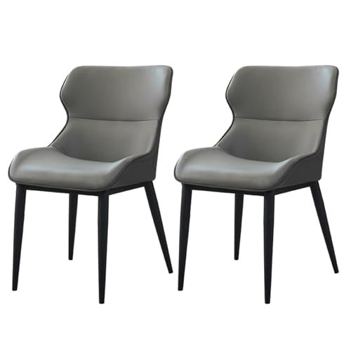 Baodiale Sillas de Comedor de 2, sillas de Cocina Modernas con tapicería de Cuero sintético, cómoda Silla para la Cocina