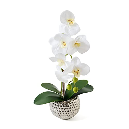Reviews y listado de Macetas con flores artificiales disponible en línea para comprar. 11 Reviews y listado de Macetas con flores artificiales disponible en línea para comprar. 7