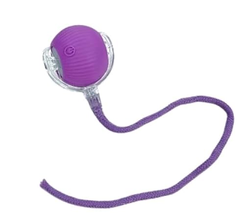 �L�̂������� �ɂႲ�̂����� (�p�[�v��) �����{�[�� USB�[�d�� 3���[�h���� ��l�V�� ���� ���� �d�� �{�[�� �d�� �˂� �l�R �q�L �� ���^�� �����������Ꭹ�� �y�b�g ���� ���[�v �Ђ� ������ �L����炵 �X�g���X���� �O���Ȃ� USB-C