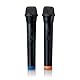 Lenco PA-260 Karaoke Lautsprecher - Bluetooth Karaoke System - 120 Watt RMS - Lichteffekte - integrierter Akku - 12 Stunden Spielzeit - 2 Mikrofone - schwarz