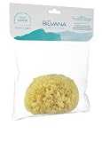 Silvana Spugna Marina Naturale Large per Neonati e Bambini – Morbida e Delicata per il Bagnetto – Spugna Naturale per Pelle Sensibile
