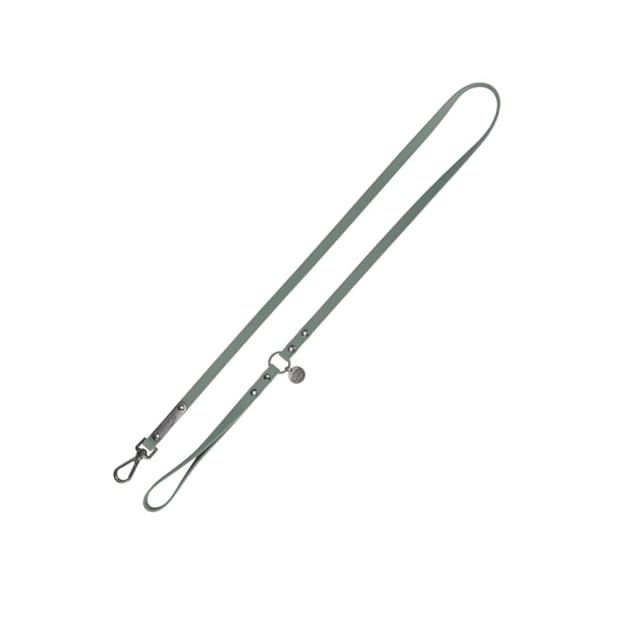 TRIXIE CityStyle Correa, PVC, L-XL 1, 00 m, 20 mm, Salvia, para Perros