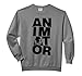 Animation Professional Job Work - Animator Comfort Colors Adult Sweatshirt