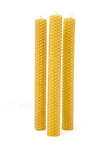 Cohoney Home - Midnight Sun 8