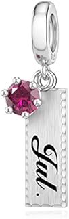DALARAN Birthstone Dangle Charm for Pandora Bracelet Women 925 Sterling Silver Jan-Dec Charm