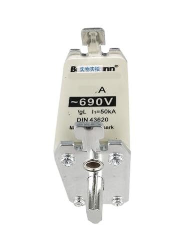 Fusible 170M4260 de rechange pour module d'alimentation et circuits intégrés