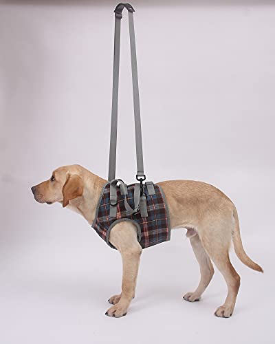Rozkitch Shoulder Belt Strap For Dog Lift Harness, Grid Pet Chest Rear Support Aid Veterinarian Approved Sling For Old K9 Help With Poor Stability 1*79 Inch #TOP4