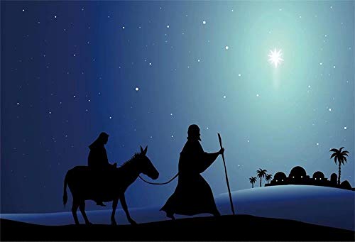 DASHAN 7x5ft Christmas Nativity Scene Backdrops for Photography Birth of