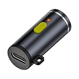 Briquet USB C Rechargeable Coupe-Vent Allume-Cigare USB C Compact Et...