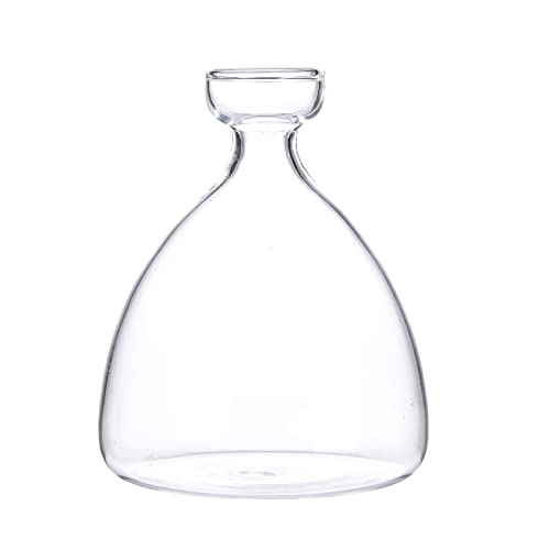 Maveite Acorn Tree Growing Vase Acorn Seed Sprouting Starter Planter Kit Hydroponics Terrariums Pot Deco Glass Propagation Vases Gardening Chirstmas Gifts For Her Him #TOP2