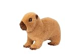 douglas kennedy tome 4  Douglas Soft Chattie Capibara