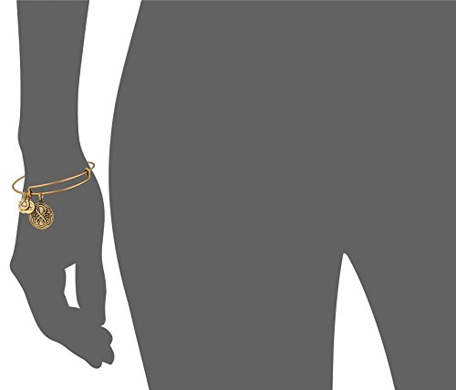 Alex And Ani Bangle Bar "Path Of Life" Rafaelian Gold-Tone Expandable Bracelet #TOP1